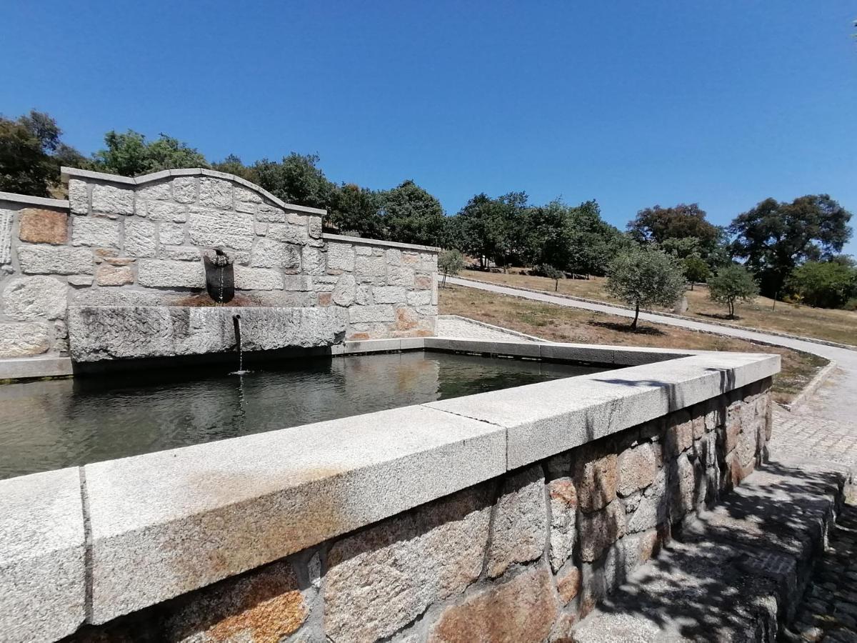 Lirios Da Granja - Casa De Campo Zewnętrze zdjęcie