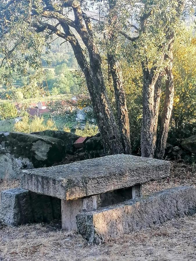 Lirios Da Granja - Casa De Campo Zewnętrze zdjęcie